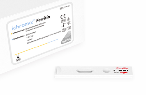 ferritin.png